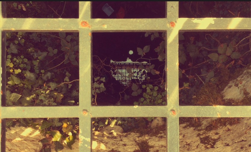 E9D55476-B7F2-4B39-8CE8-ABE1833725B9